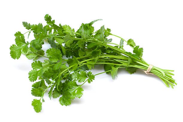 Fresh coriander isolated on white background