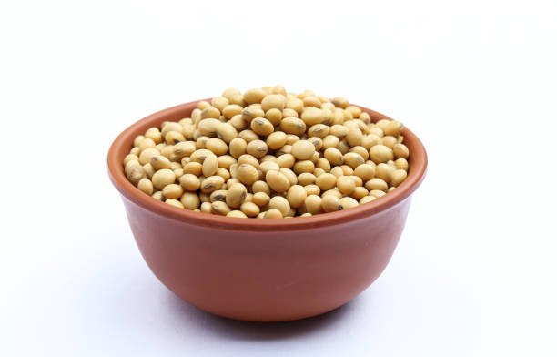 Soybean seeds in a bowl side view