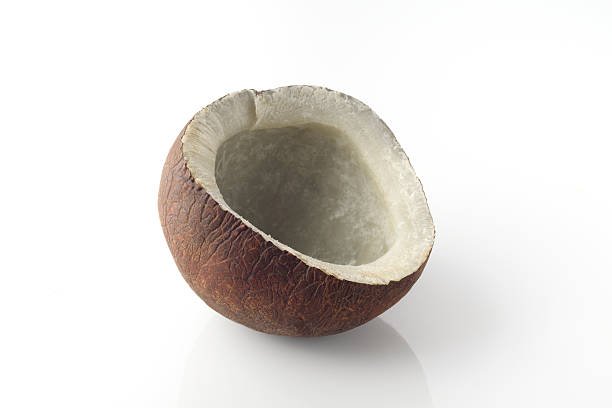 High resolution Image of  brown dry coconut.